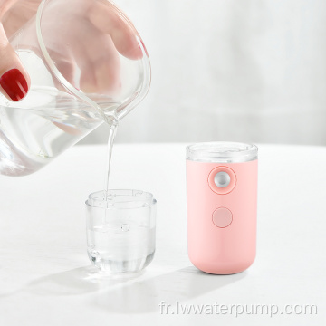 Mini pulvérisateur d&#39;eau de brouillard facial Nano portable SPA